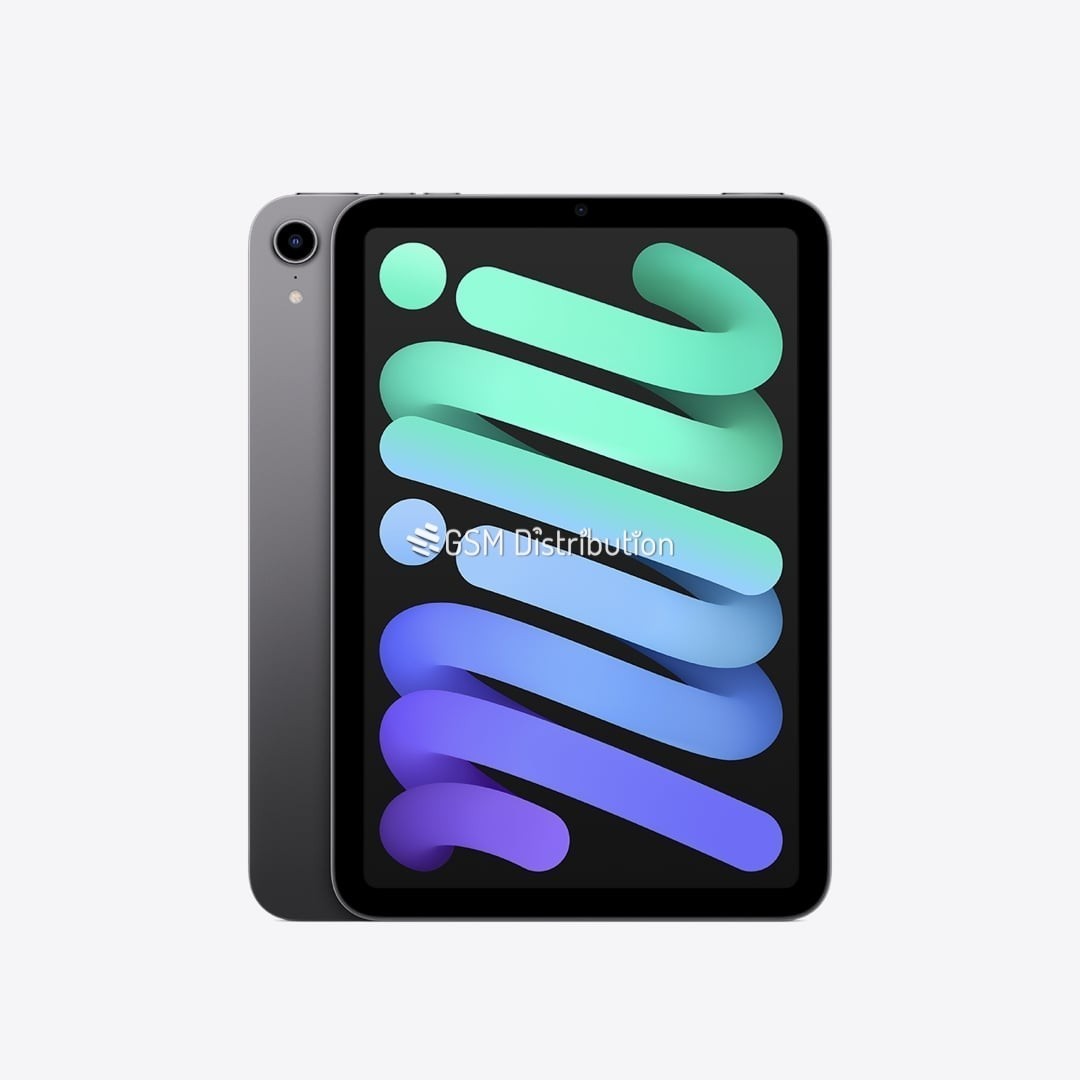 iPad mini 256 Gb Noir Wi-Fi & 5G