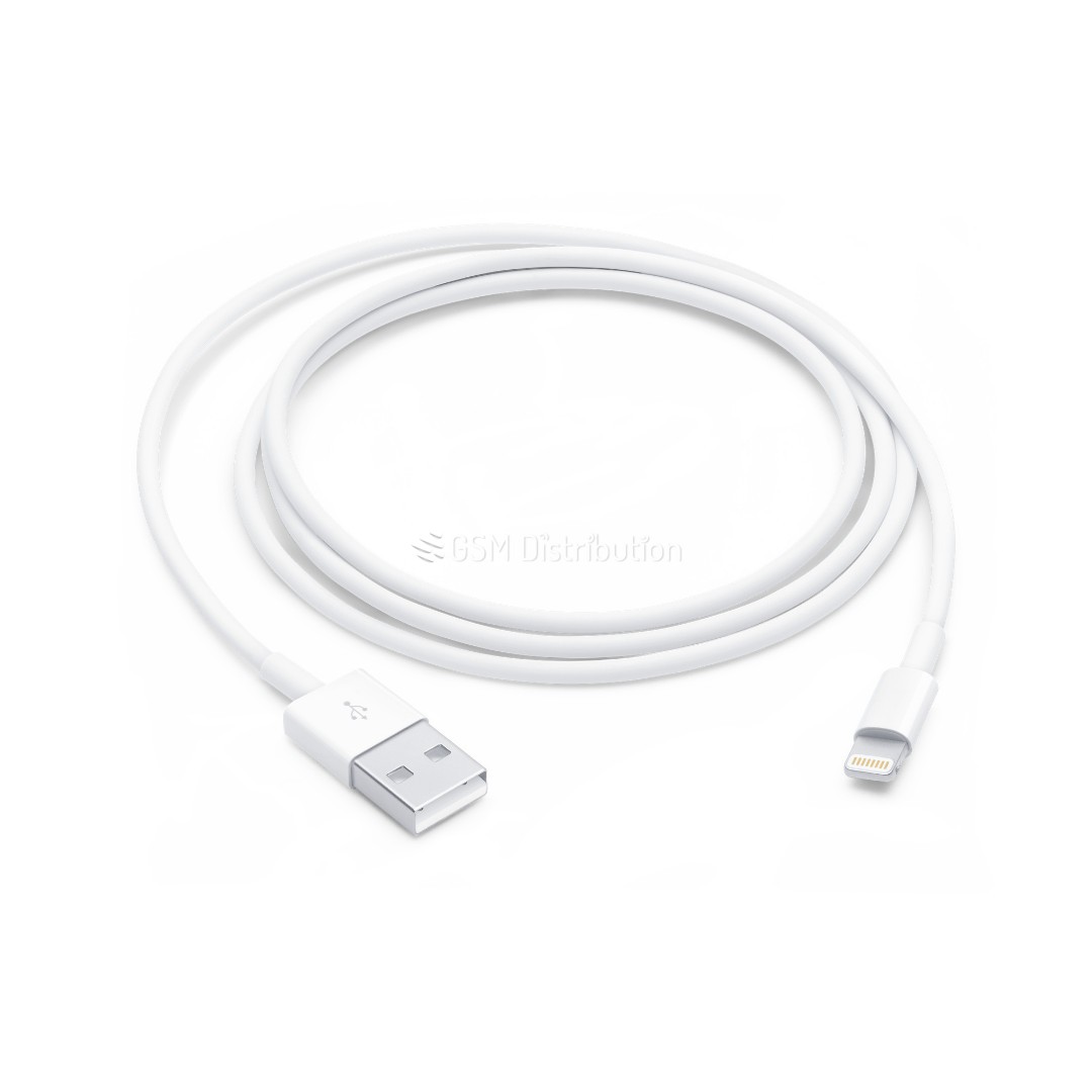 Câble Lightning vers USB (1m) iPad